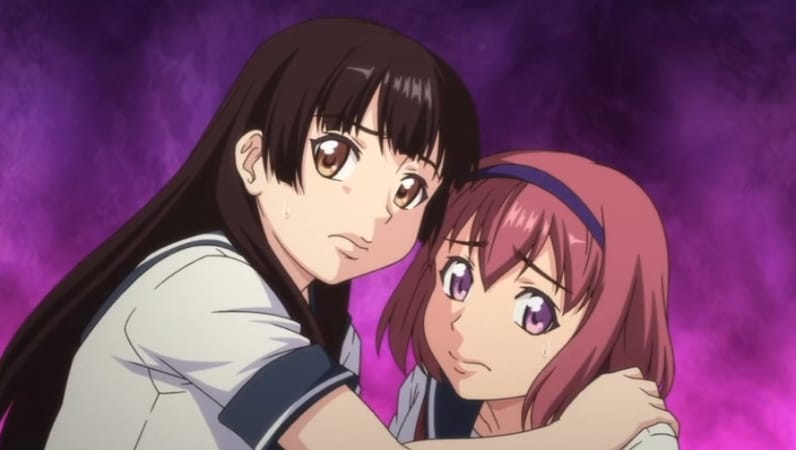 2477_compressed.jpg